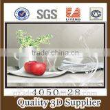 2016 High Quality Customized 3d Plastic Lenticular Flip Picture for Home Decoration