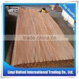 Natural Wood Veneer Plb Veneer Gurjan Veneer thumbnail-3