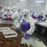 2015 New Season Frozen IQF Lichee With Good Quality and Hot Price thumbnail-4