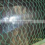 1/4 Inch Galvanized Chicken Wire Mesh thumbnail-3