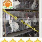 24 Rabbits Automatic Rabbit Breeding Cage Equipment in Kenya thumbnail-1