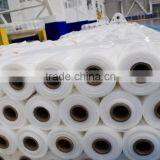 Greenhouse Covering thumbnail-3