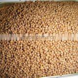 Hot Sale Pellet Pet Animal Extruder Fish Feed Machine thumbnail-4