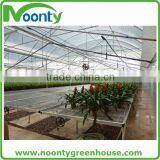 Professional Greenhouse Project Commercial Hydroponic Systems thumbnail-4