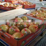 Pomelo New Crop thumbnail-4