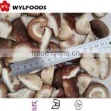 Iqf Price for Frozen Shiitake Quarter 2015 Crop thumbnail-6