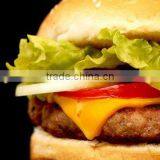 Hamburger Seasoning /Savory Flavors thumbnail-1