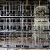 Galvanized Pigeon Breeding Cage For Poultry Farms thumbnail-3