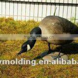 Colourful Goosey,resting Watching,Decoy Goose for Hunting,Decoy Goose for Hunting thumbnail-5