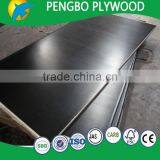 20mm Black Film Faced Plywood thumbnail-2