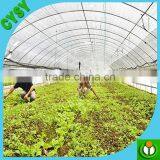 PE Type Multifunction Vegetable Fruit Shade Net for House Farming thumbnail-4