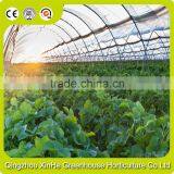 High Quality Hydroponic Greenhouse Wholesale thumbnail-6
