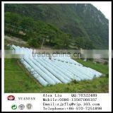 Polypropylene Spunbond Nonwoven Fabrics Used for Agricultural Mulch thumbnail-3