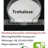 Hot Sale Trehalose in Indonesia Marketing thumbnail-6