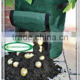 PE Potato Grow Bag,Plant Grow Bags