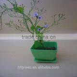 2015 Eco-friendly Biodegradable Bamboo Fiber Square Flowerpot thumbnail-1