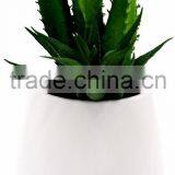 Desktop Flower Pot With USB Charger thumbnail-3