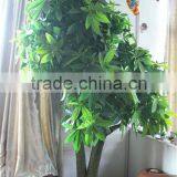 Home garden creepers decoration 180cm Height artificial green Pachira aquatica tree EFCS05 2902