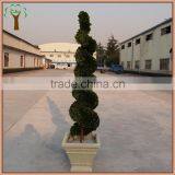 Commercial Decorative Preserved Spiral Boxwood Topiary thumbnail-1