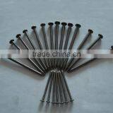 Common Nails, Iron Wire Nails With Factory Price thumbnail-3