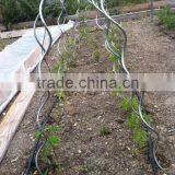 1.8m Galvanized Tomato Plant Stake Stick thumbnail-4