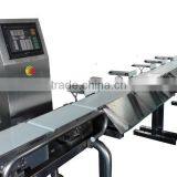 Conveyor Belt Metal Detector and Check Weigher. Metal Detector for Food Processing Inspection With Check Wigher