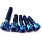 Blue Anodized Titanium Bolt