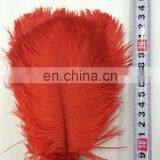 Professional Supplier Chrismas Ostrich Feather Decorations thumbnail-2
