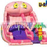 Pink Inflatable Water Slides Wholesale for Kids
