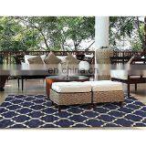 Eco-friendly Recycled Plastic Rugs for Patios Home Decor thumbnail-4