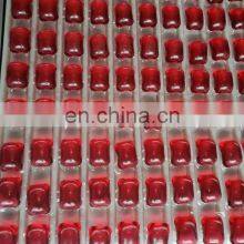 Polyva Machine 30g Big Pods Laundry Detergent Capsule Packing Machine thumbnail-2