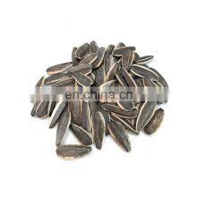361 363 601 Chinese Sunflower Seeds to Turkey