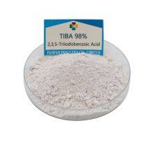 Hot Sale Biochemicals Tiba 2 3 5triiodobenzoic Acid 98 tc Powder Tiba Good Product thumbnail-1