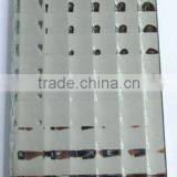 Haisen Hot Sell 3mm-6mm Patterned Decorative Mirror Sheets