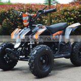 Electric Mini Atv Quad 500w 800W36V 350W24V