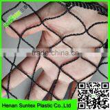 PE Plastic Anti Bird Netting/agricultural Anti Bird Net/cheap Bird Netting for Fruit Cover thumbnail-2