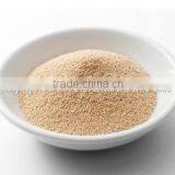 15gm Low Sugar Active Instant Dry Yeast for Bread Making thumbnail-5