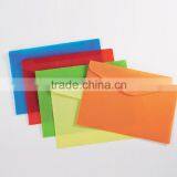 Free Sample Customized Plastic File Folde