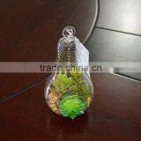 Plastic Succulent Plants Geometric Glass Terrarium Wholesale Container thumbnail-2