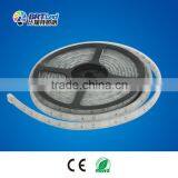 Waterproof 5050 Smd Led Strip Light IP68 Led 24 Volt Strip Light 19 w per Meter thumbnail-1