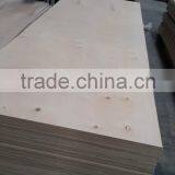 C/D Grade POPLAR CORE Oversize Birch Plywood for American Market thumbnail-6
