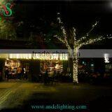 Free Replace Bulbs,free Cuts New Led String Light Led Clip Light thumbnail-1