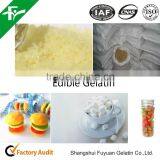 CAS#9000-70-8 Gelatin Manufacturer thumbnail-3