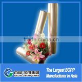 cheap chinese cpp xxx film for lamination