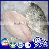 Bulk Tilapia Fillet With High Quality thumbnail-6