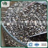 Latin America Organic Mixed Chia Seeeds thumbnail-4