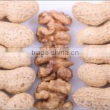 Chinese peanut kernels in bulk (28/32)