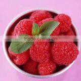 Frozen Fruit thumbnail-2