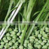 TPE Infill Granules thumbnail-1