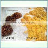 45-55KW Palm EFB Long Fibre Making Machine (long Fibers for Making Mattress, Pulp and Papers) thumbnail-3